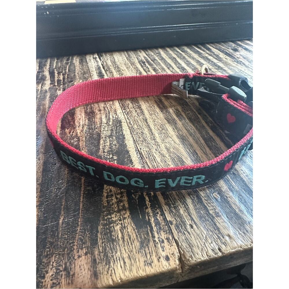 Vivacouture Black Collar with Teal Embroidered Text and Red Stitching - Picture 7 of 8